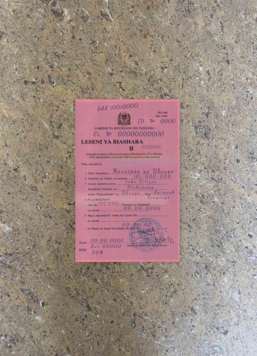 Downloadable Tanzania business license photolook example